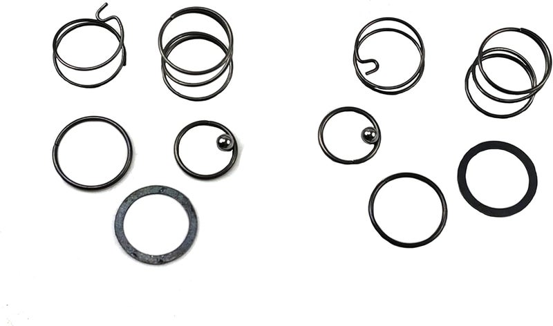 palart N078434 Spring kit for 20 V impact wrench DCF885 DCF886 spring and ball replacement, impact driver spring kit and ball (2 pcs) - Image 1